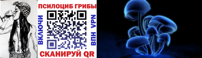 Псилоцибиновые грибы Magic Shrooms  нарко площадка какой сайт  Буинск 